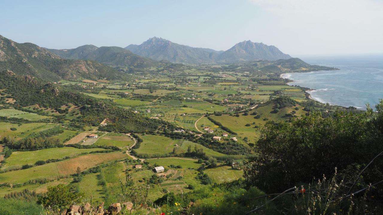 Sa Teria Village - Appartamenti - Tertenìa Kültér fotó